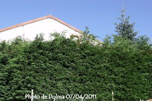 pour-defi-2.jpg