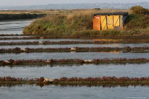 breizh-pictures (72)