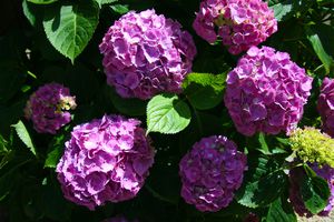 secrets-de-bretagne (23)