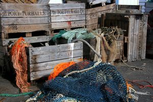 bretagne-2008-007.jpg