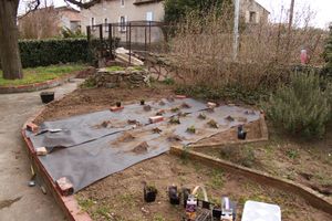 Premiers travaux du printemps 006
