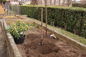 Premiers travaux du printemps 008