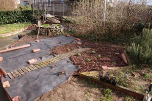 Premiers travaux du printemps 010