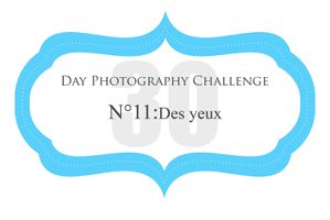 day 11