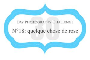 day 18