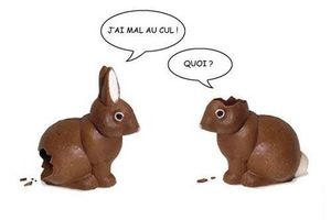 t-lapin_paque.jpg