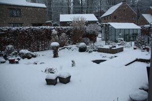 001-copie-4