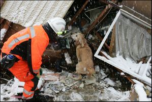 redog-2