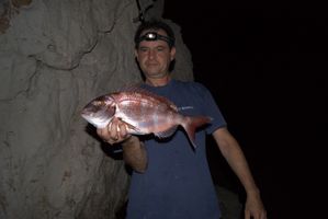 DSC03179