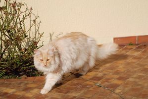 BALADE-PATRICIA-20110008.JPG