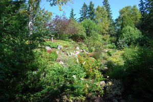Les jardins de Métis - Québec001
