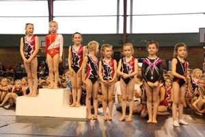 Badges-poussins-2014 2264-copie-1