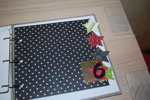mini-album-1596fiskars.JPG