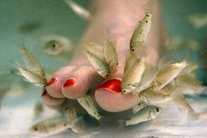 pedicure