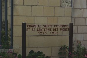 IMGP0214