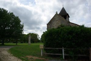IMGP9868