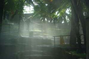 IMGP9480.JPG