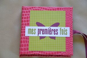 brouillon5 0213-copie-2