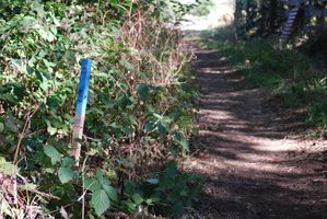la-chasse-aux-tresors-2010 0013