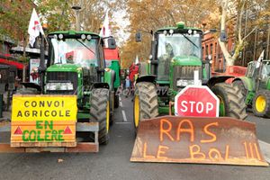 Manifestation agricole Toulouse 2014 (271)