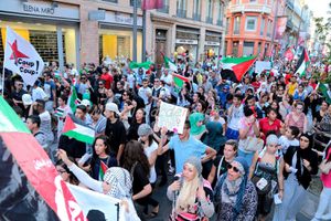 Manifestation Pro-Palestinienne Toulouse 2014 (162)