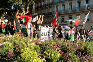 Manifestation Pro-Palestinienne Toulouse 2014 (171)