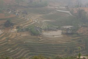 vietnam 9418