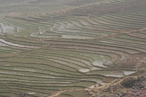 vietnam 9427