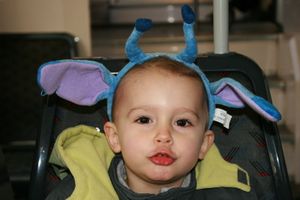 2010 03 8419