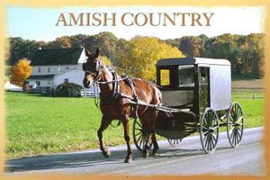 INDIANA Shipshewana county