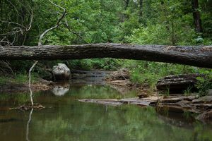 OKLAHOMA -Ouachita-Mountains-Poteau-Creek-800x534