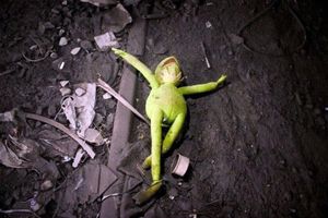 kermit8x61