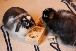 einsteinchen 03