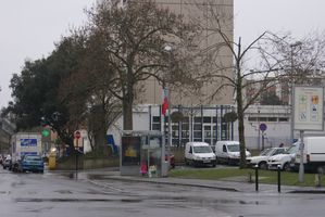 DSC02655