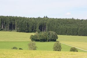 Tussenhausen 8611