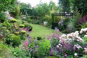 jardin