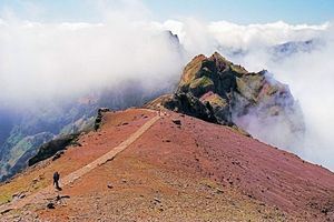 pico-ruivo-462563