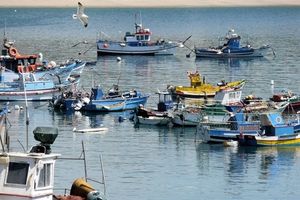 sines-462533