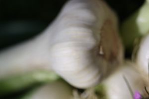 Ail--6-.jpg