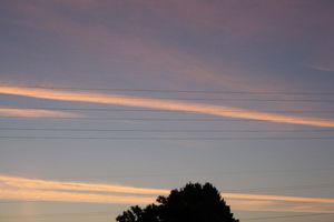 2011 07 11 042