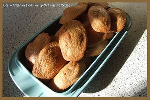 madeleines-orange-cannelle-Nath-.jpg