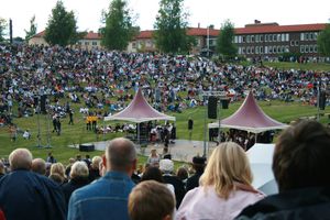 Midsommar-Dalarna-June-2010 1285