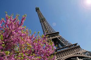 Paris, la tour Effel