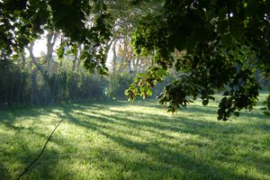 paradis12.09 003