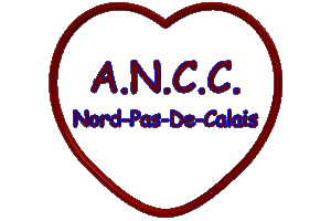 ANCC-Animee