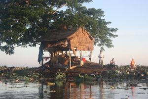 Cambodge 6743