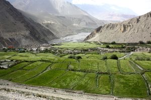 Nepal 4139