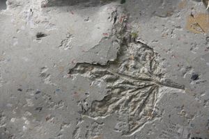 Papier fabriqué par les ékoacteurs!