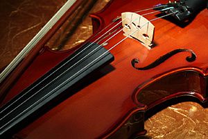 violon-0007017943F-1280x1024[1]
