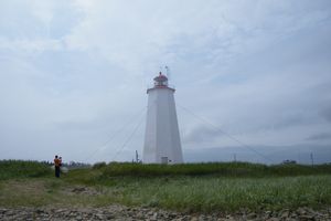 DSCF0991